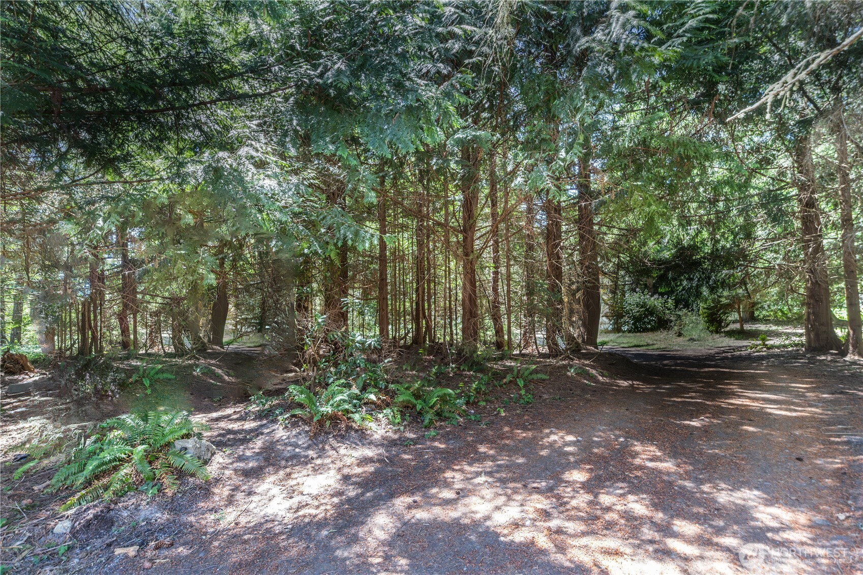 231 Quail Ridge Court Property Photo 33